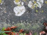 image of grave number 606968